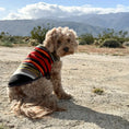 Load image into Gallery viewer, Pendleton National Park Dog Vest