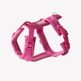 Load image into Gallery viewer, Magenta - Velvet Dog Harness
