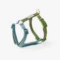 Load image into Gallery viewer, Blue and Green - Dog Harness
