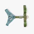 Load image into Gallery viewer, Blue and Green - Dog Harness
